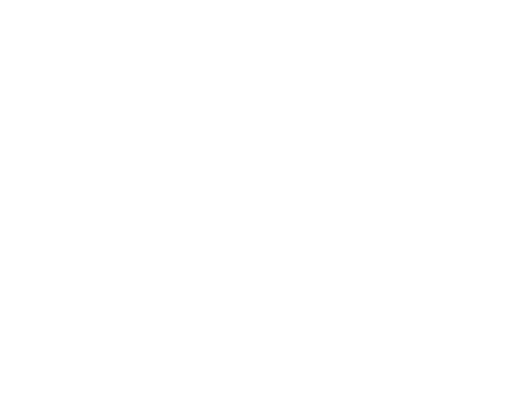 Xenon Holdings, LLC Logo